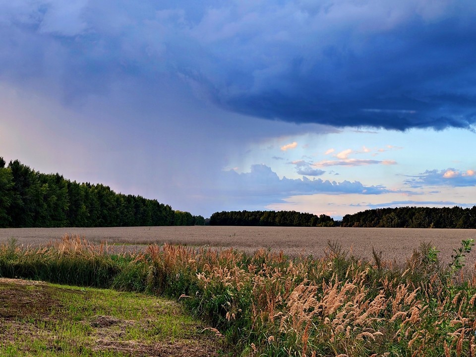 Дожди и тепло до +19: какая погода будет в Подмосковье 20 сентября