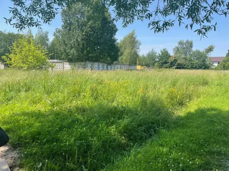 Самый дорогой участок реализован на торгах в Домодедове