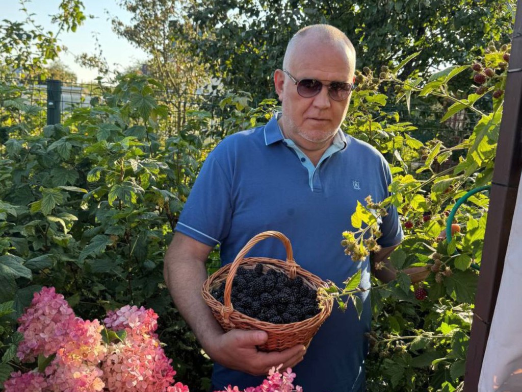 «Вкусно, полезно, свое»: полную корзину ежевики собрал в саду глава Талдомского округа