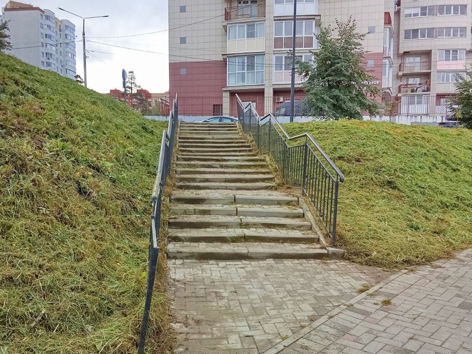Ведущую к реке лестницу очистили от травы в Ивантеевке