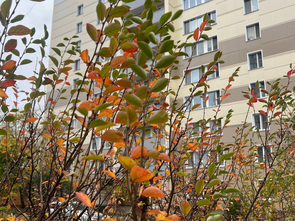 Запуск отопления завершен во всех домах Красногорска