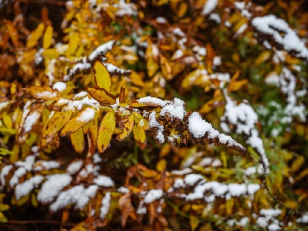 Арктические холода придут в Подмосковье с 24 сентября