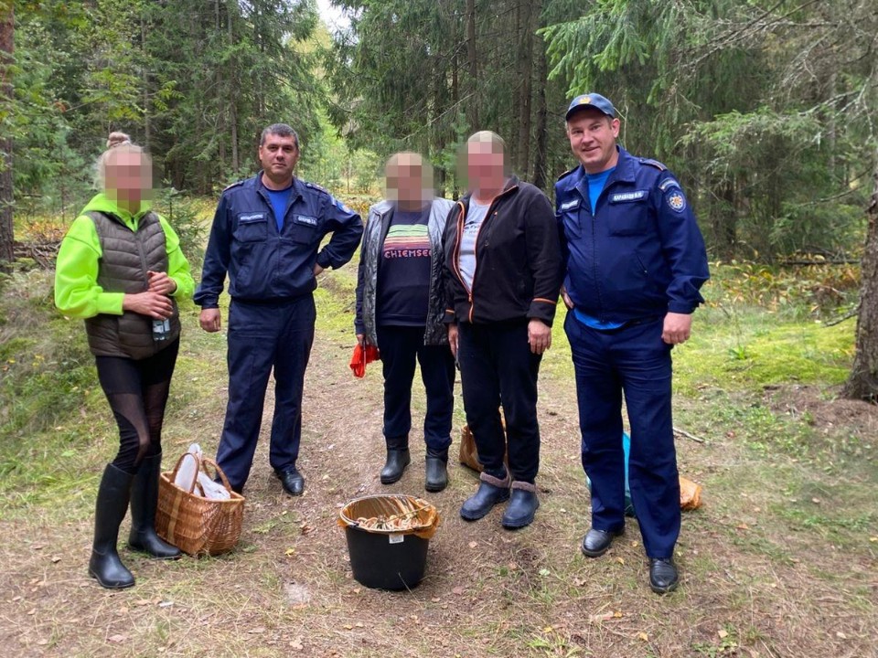 Спасатели разыскали трех женщин, заблудившихся в лесу в Орехово-Зуевском округе