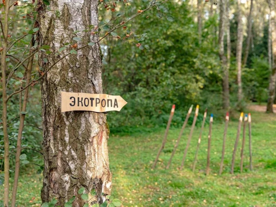 Эко-тропу из сена, шишек и речной гальки открыли в лесопарке «Гальчино»