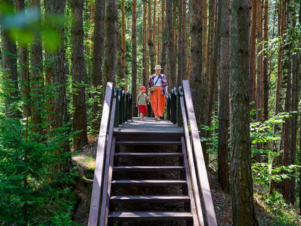 Биолог объяснил, почему современные люди все чаще стремятся к природе