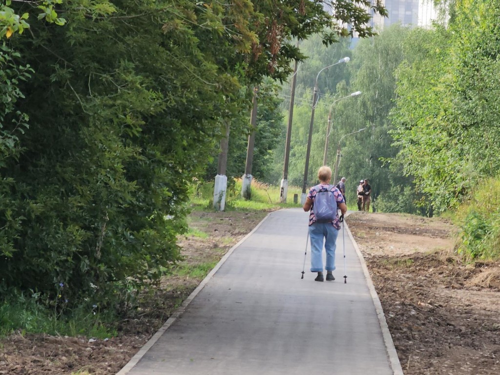В Кашире создадут препятствия для транспорта на пешеходной дорожке к «Тесне»