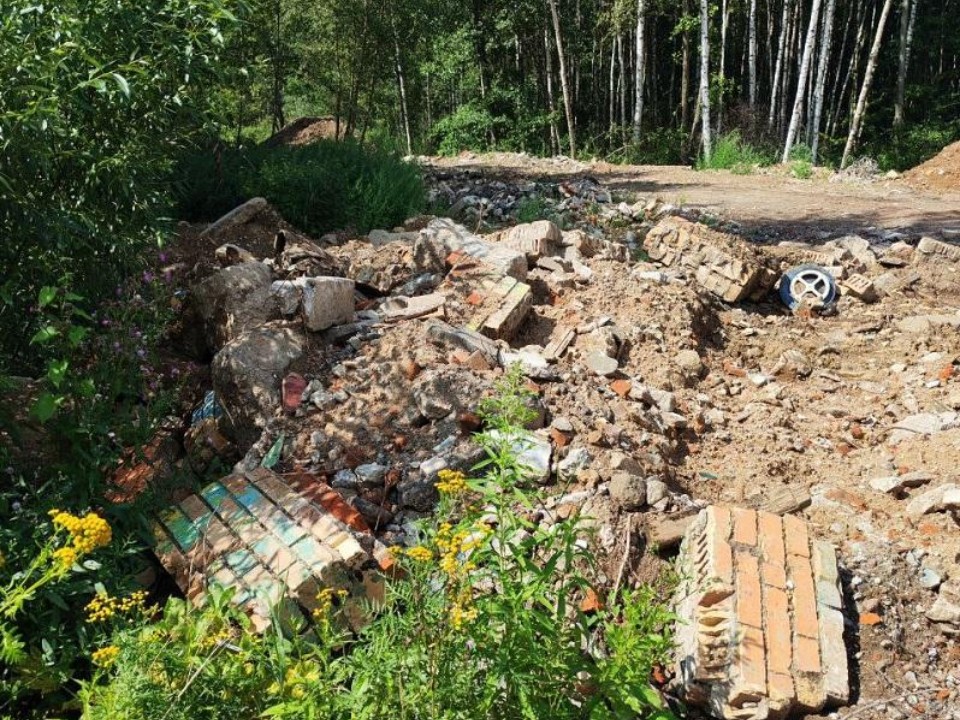 Суд взыскал с компании из Амурской области ₽570 тыс. за свалку в Подмосковье