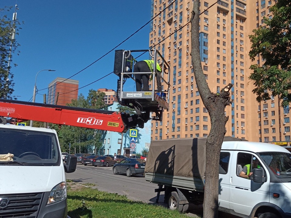На улице Левонабережной спилили ветки, которые мешали проезду машин