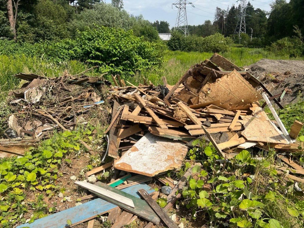 Лесная охрана выявила в Истре сотни правонарушений благодаря фотоловушкам