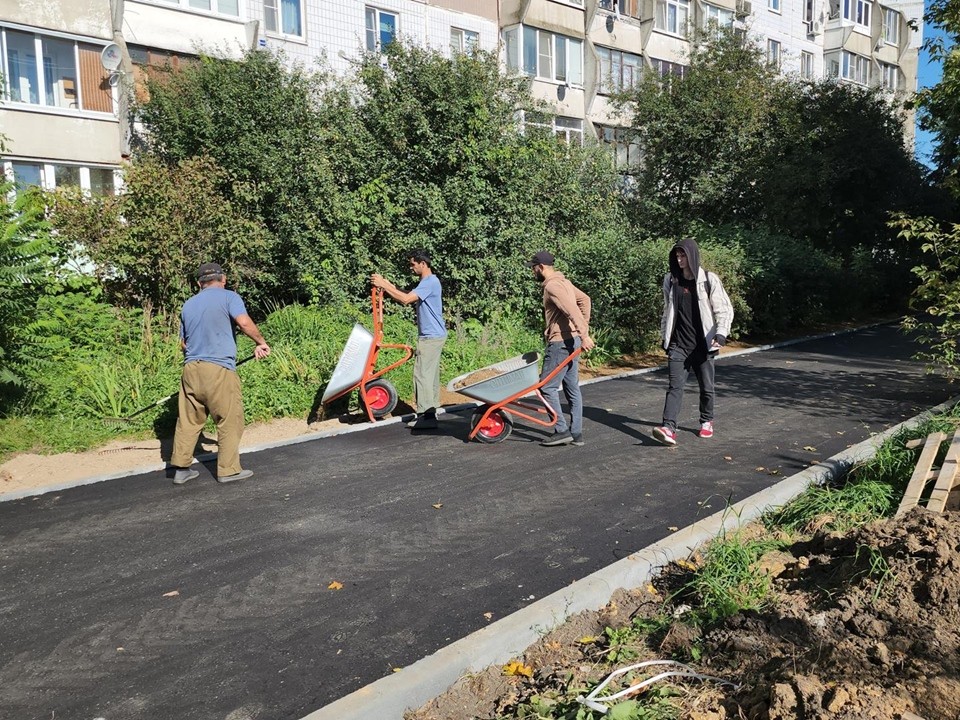 Новые пешеходные зоны и площадки для выгула собак обустроят на улице Новой