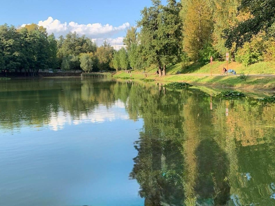 По просьбе жителей экологи провели пробы воды в Верхнем пруду Дзержинского