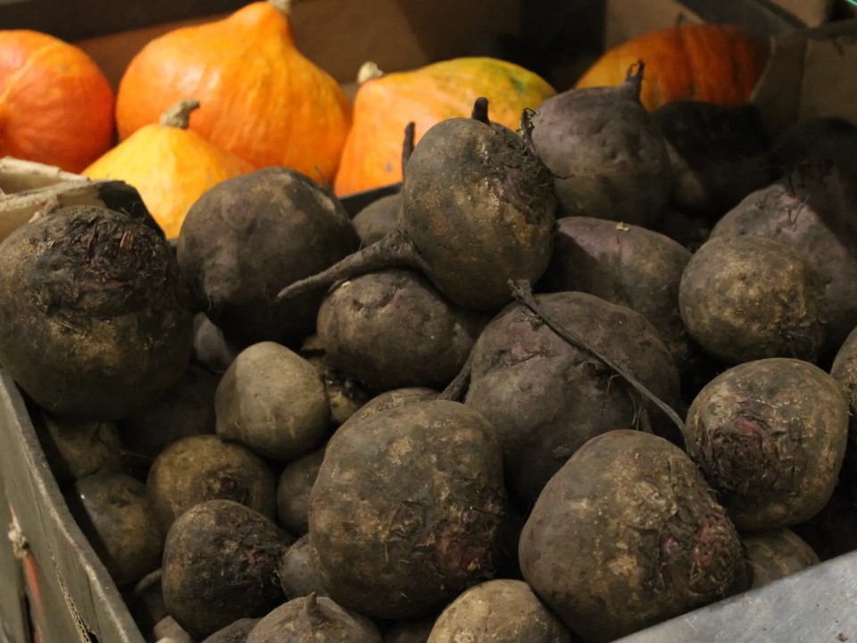 Как сохранить свеклу до весны