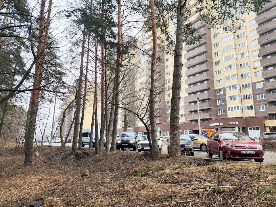 Зачистку территории под будущий храм провели прихожане в Ногинске