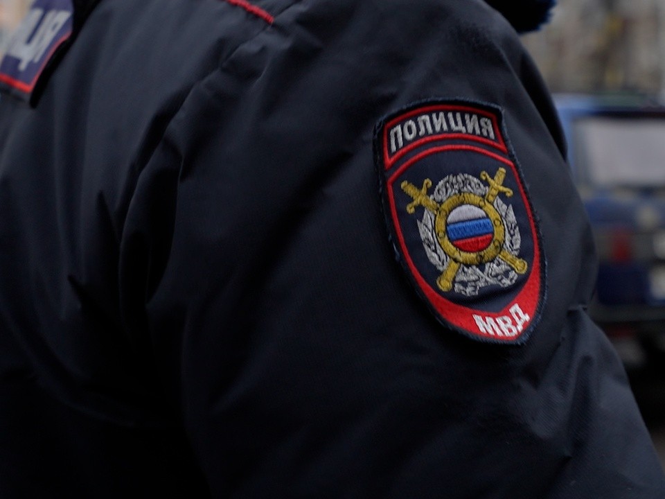 В Голицыне задержали подозреваемую в краже мобильного телефона