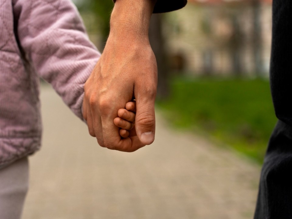 Мужчину, пытавшегося похитить ребенка, задержали в Чехове