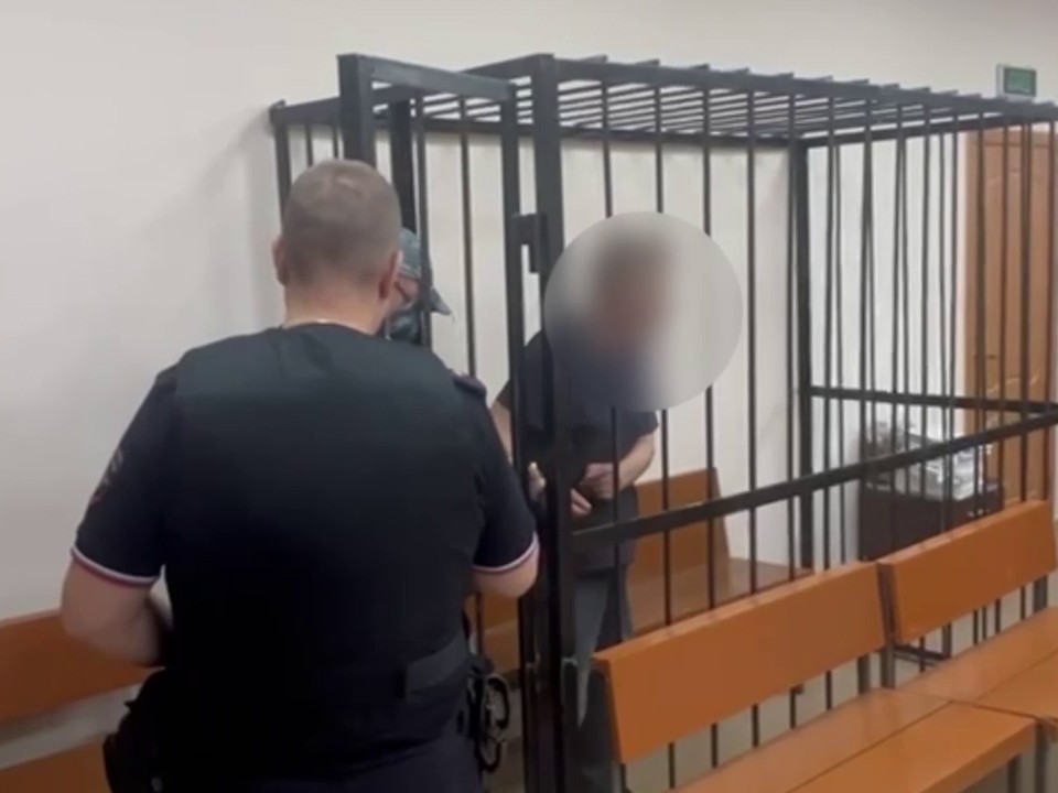 Обвиняемый в убийстве пенсионерки мужчина арестован в Воскресенске