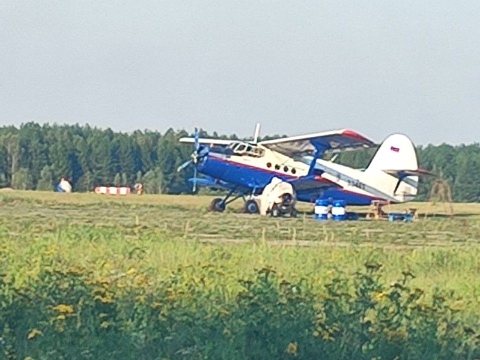 Шестеро смелых: спортсмены бронницкого клуба бокса впервые прыгнули с парашютом
