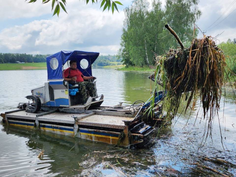 На пруду в Александровке проведут генеральную уборку