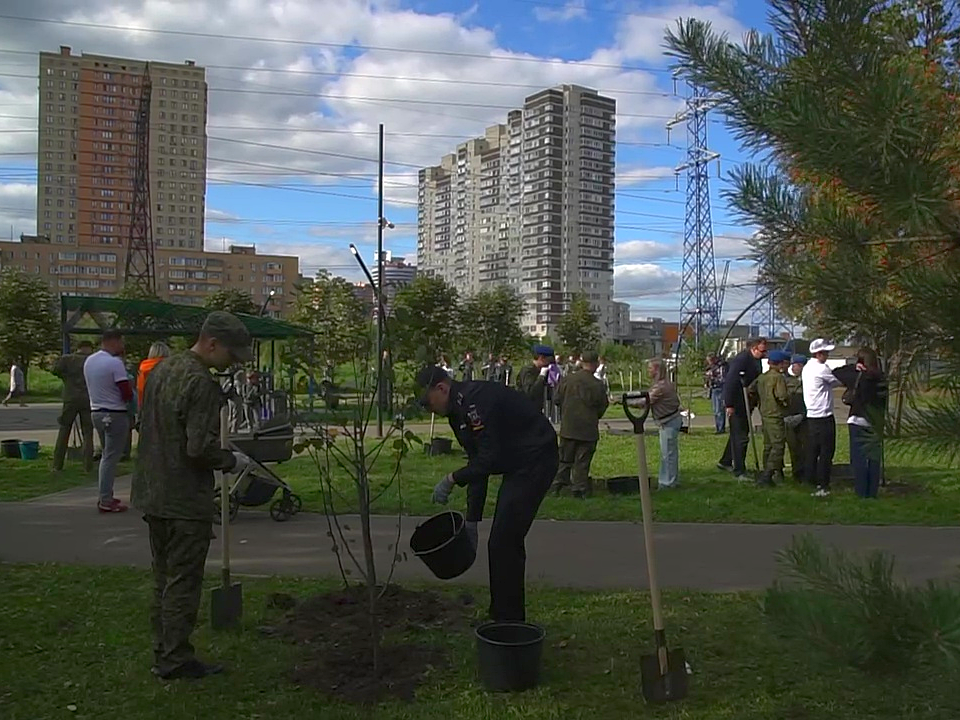 Жители Реутова высадили 20 яблонь в одном из городских парков