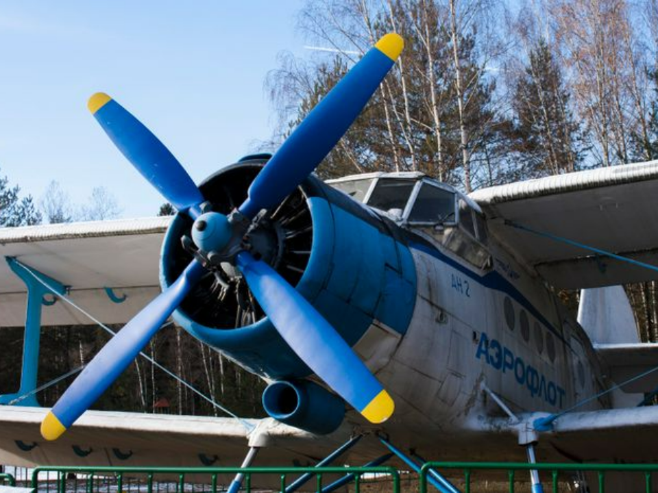 У подмосковного спортсмена не раскрылись парашюты после прыжка с Ан-2