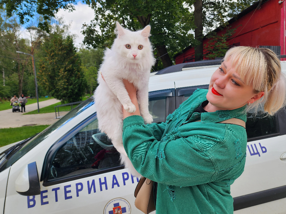 В двух деревнях под Можайском будут бесплатно вакцинировать животных