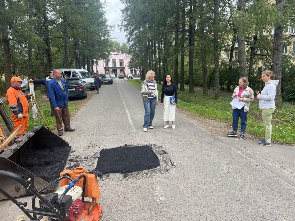 Жители поселка Лесной попросили отремонтировать дороги