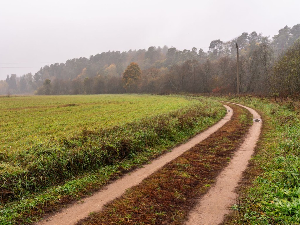 Настоящая осень нагрянет в Подмосковье на неделе