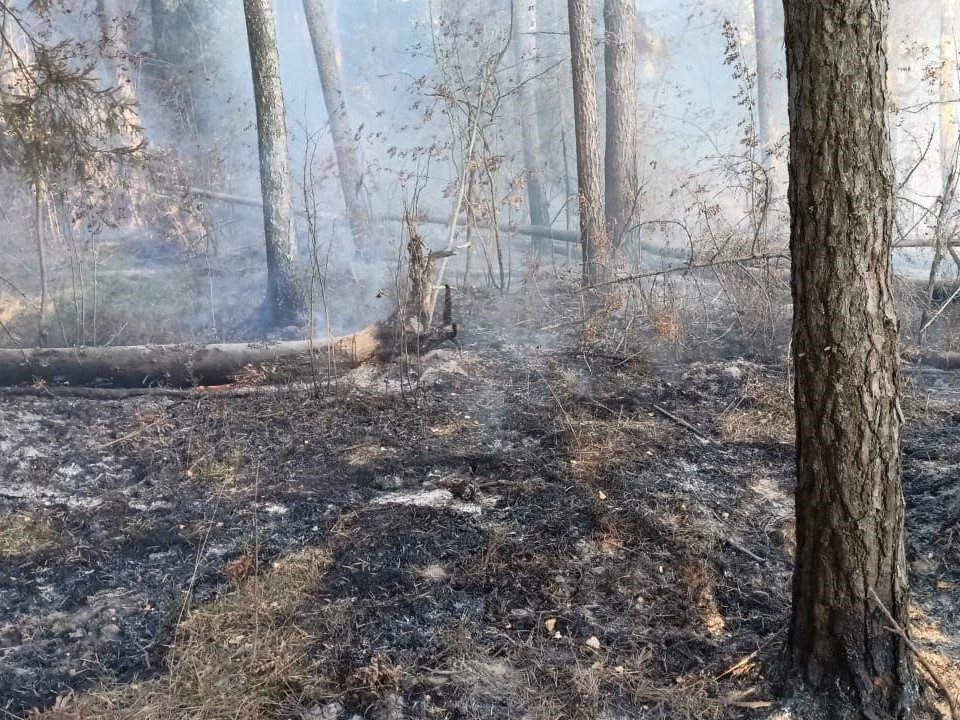 В Электростали вновь выявлен пожар, вызванный человеческой беспечностью
