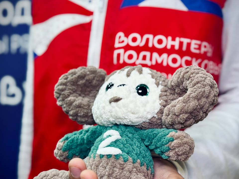 Вязаные Чебурашки и ангелы из Можайска будут поддерживать бойцов спецоперации