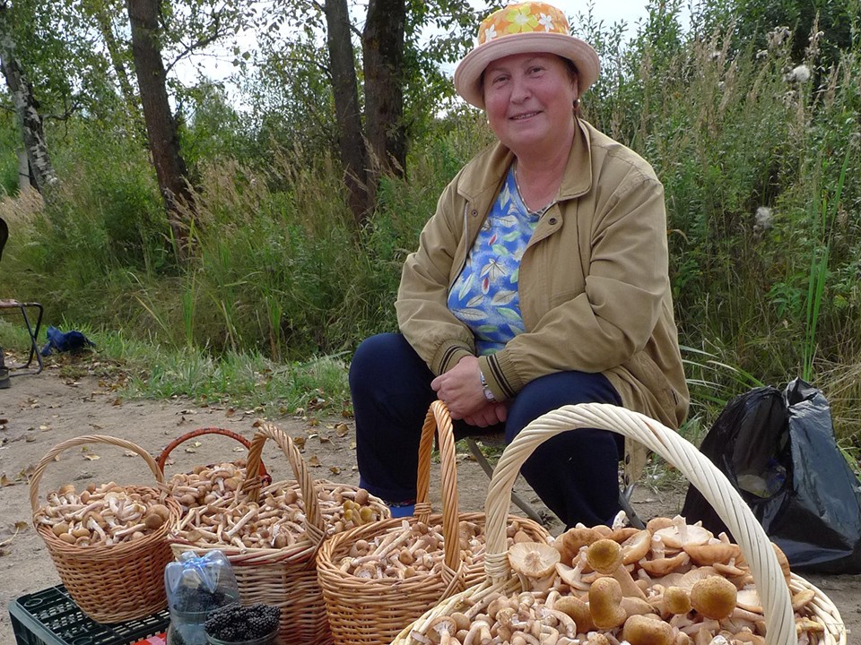 В лесах под Одинцовом грибной бум —жители делятся рекордными находками