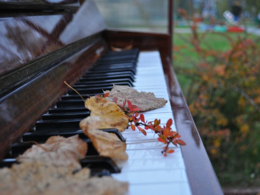 Октябрь в Красногорске предлагают начать музыкально