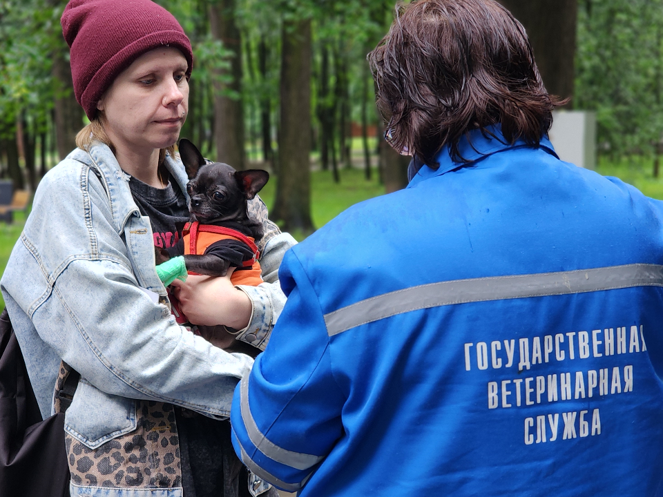 Куда приедут мобильные офисы Госветслужбы для вакцинации животных от бешенства 3 сентября