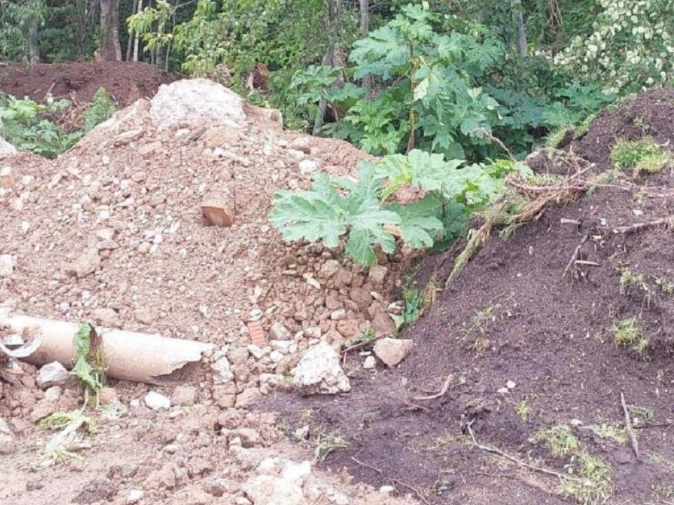 В деревне Назимиха борются со свалками на частных землях