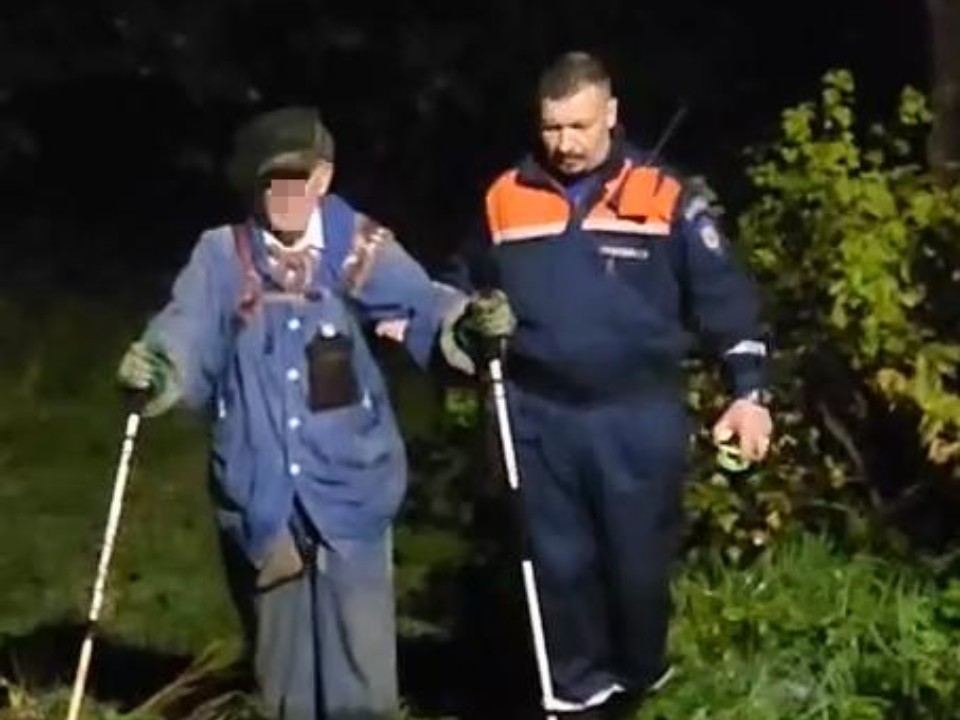 Спасатели разыскали пожилого грибника, заблудившегося в лесу в Истре