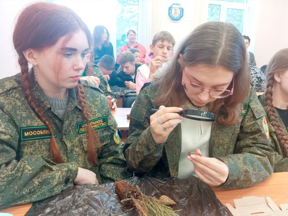Зарайская команда вступила в борьбу на областном слете школьных лесничеств