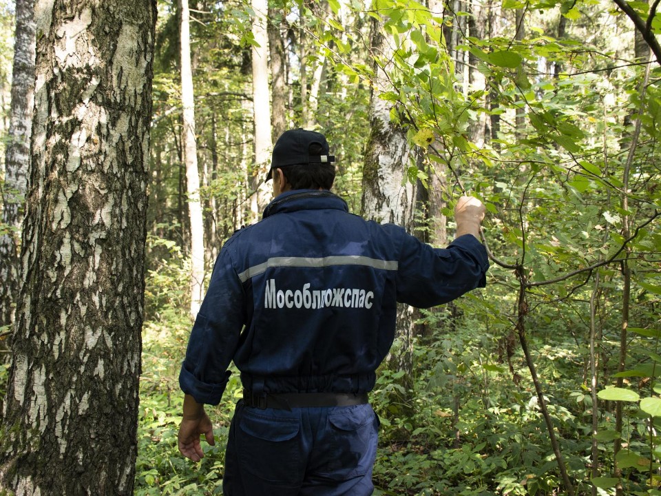 Спасатели разыскали женщину, заблудившуюся в лесу под Солнечногорском