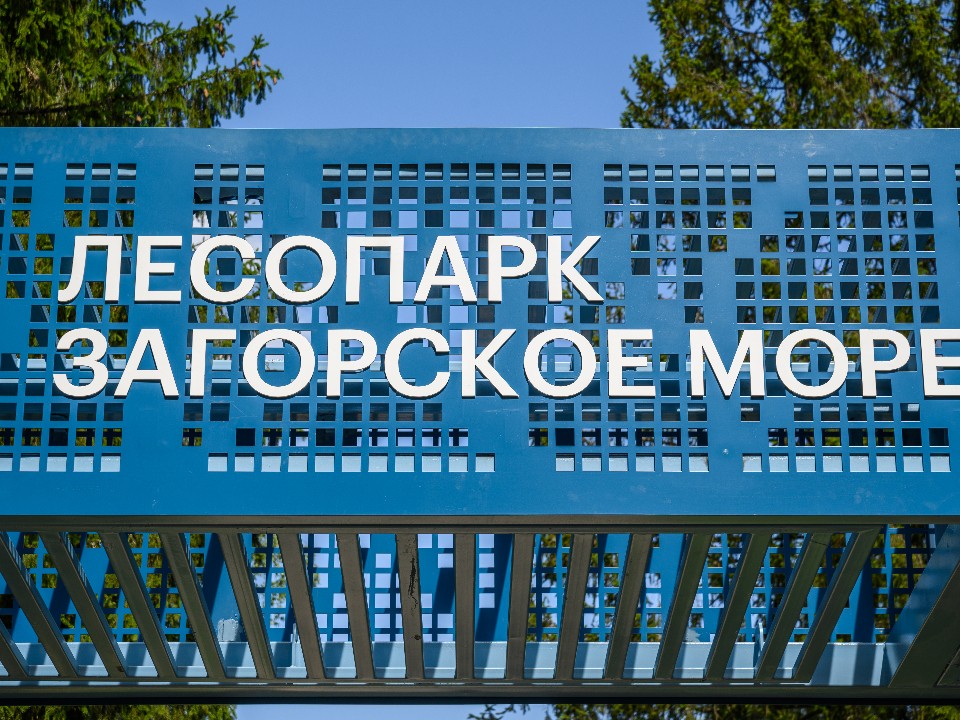 Герои и инвалиды смогут припарковаться в лесопарке «Загорское море» бесплатно