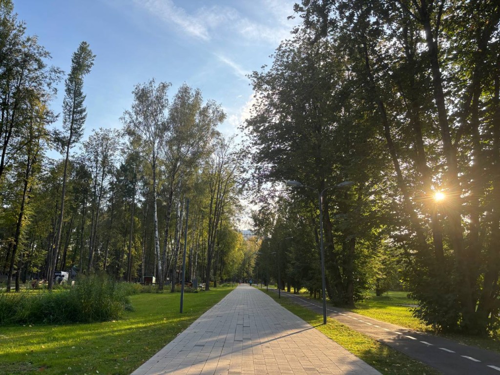 Жителей Солнечногорска приглашают на ярмарку, спорт и субботник 27 сентября