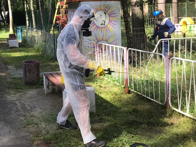 Городской парк обработали от клещей, на очереди сквер «28 квартал»