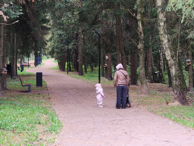 В Супоневском лесопарке начали обустраивать парковки и входные группы