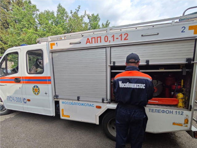 Спасатели разыскали пожилого грибника, заблудившегося в лесу под Можайском