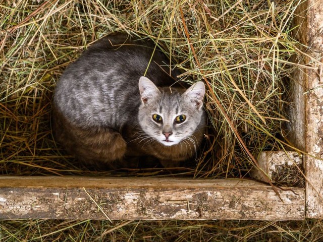 Фотограф из Королева отсудил деньги у продавца с маркетплейса