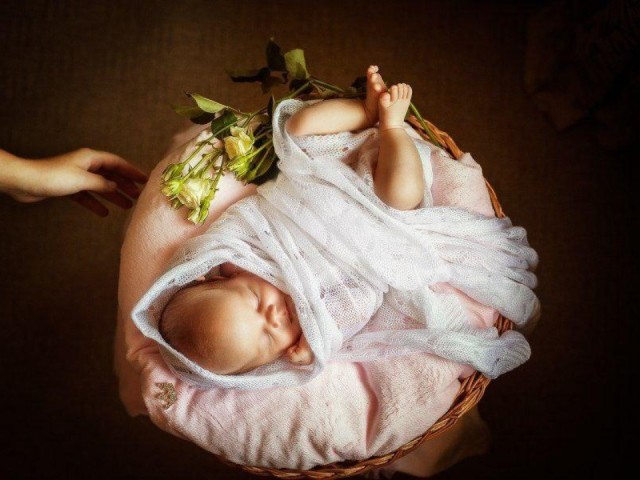 В Балашихе более 90 семей оформили новую меру поддержки