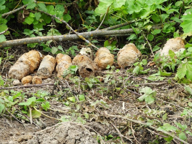 Целый боевой арсенал времен ВОВ нашли в земле под деревней Чертаново