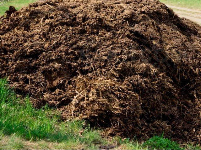 Фермерское хозяйство в Воскресенске обязали устранить экологические нарушения