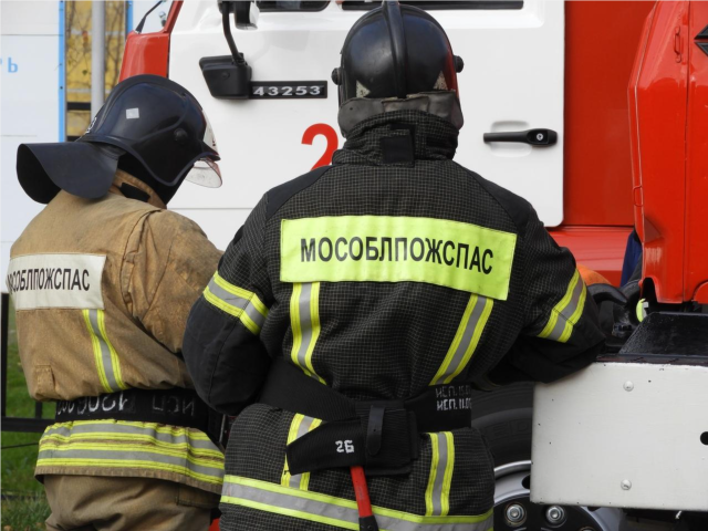 Пожарные спасли 13 кошек и эвакуировали 36 человек в Богородском округе