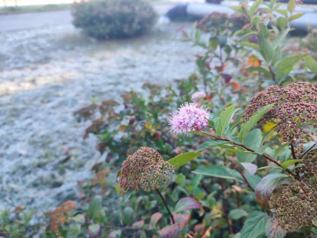 Прогноз погоды в Котельниках на 1 октября 2025 года