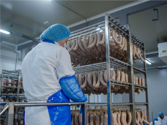 На заводе «СолеРамичи» установили итальянские климатические камеры
