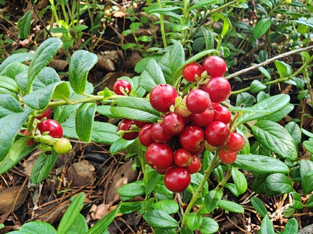 Не убирайся в доме и не давай соседям соль: народные приметы на 5 сентября