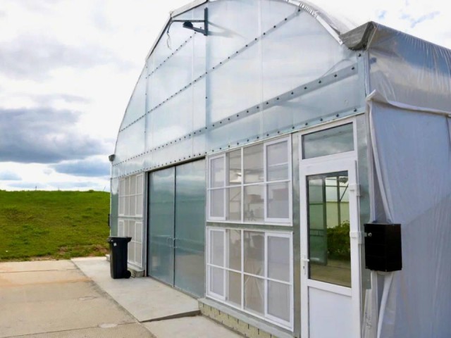 В Дмитрове выращивают безвирусный картофель